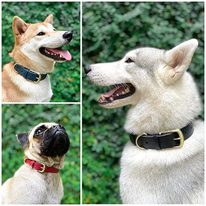 Tuff Pupper Heavy Duty Waterproof Dog Collar for Small, Medium & Large Dogs - color: Epic Black