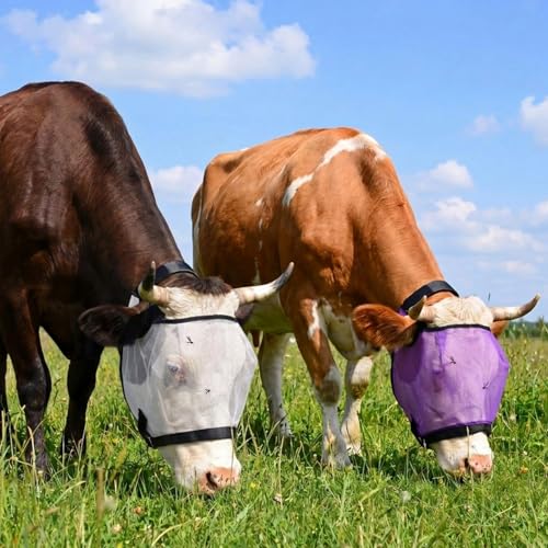 Abbylike 2 Pcs Cattle Livestock Fly Mask Adjustable Mesh Cow Mask with Elastic Chin Strap, Breathable Mesh Padded Large Spacing Forelock Opening Design Adjustable Fit for Cattle (Purple) - color: Purple