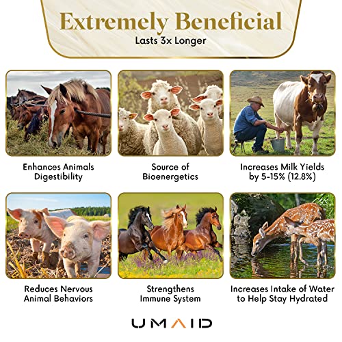 UMAID Himalayan Salt Lick 6 lbs On Rope for Horse, Deer, Goat, and Livestock Animals - Himalayan Salt Block 1 Pack - size: 6 Pound (Pack of 1)