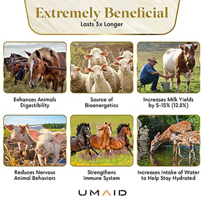 UMAID Himalayan Salt Lick 6 lbs On Rope for Horse, Deer, Goat, and Livestock Animals - Himalayan Salt Block 1 Pack - size: 6 Pound (Pack of 1)