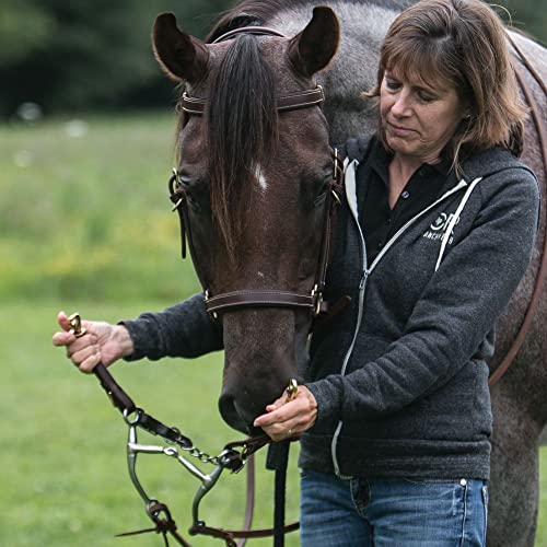 Schneiders Billy Royal Deluxe Trail Halter for Horses Bridle Combo | Convertible Halter/Bridle | Premium English Leather | Padded Comfort | Brass Hardware | Versatile Use