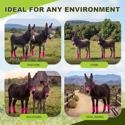 Mini Donkey Fly Mask with Ears and 4 Set Donkey Fly Boots Mule Leggings, Breathable Stretchy Mule Leg Wraps Mask Boots with Mesh Eye Covers from Insects and Bugs with Adjustable (Rose Red) - color: Rose Red