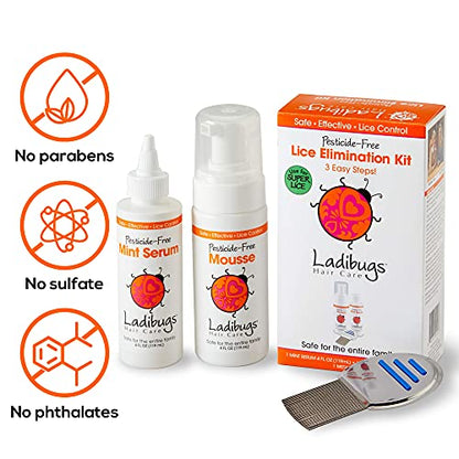 Ladibugs Complete Head Lice Treatment Kit with Professional Nit Comb