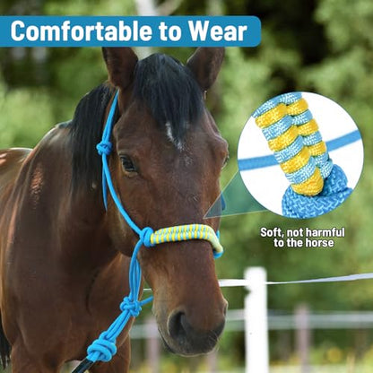 Horse Rope Training Halter -Halter Cord - Used by Famous Trainers