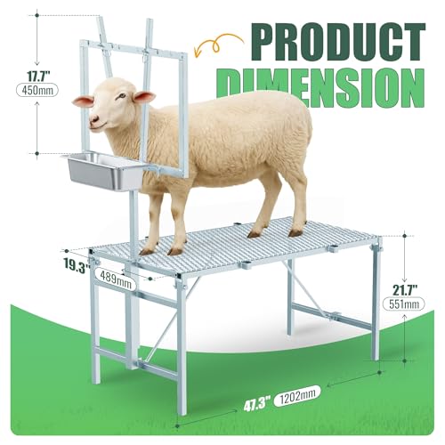 600LBS Milking Stand for Goat, Adjustable Sheep Rack with Feeder, Metal Livestock Milk Stand Fit for Shearing, Hoof Trimming, Animal Examinel Examination, Stainless Steel (Silvery) - color: Silvery