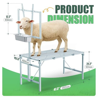 600LBS Milking Stand for Goat, Adjustable Sheep Rack with Feeder, Metal Livestock Milk Stand Fit for Shearing, Hoof Trimming, Animal Examinel Examination, Stainless Steel (Silvery) - color: Silvery