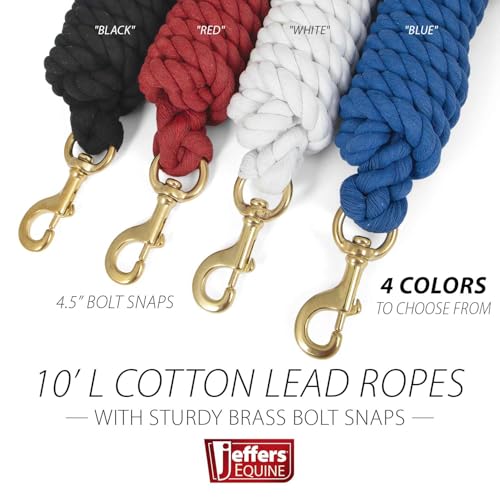 Jeffers Twisted Cotton Horse Lead Rope w/Brass Bolt Snap, 10' L - Black - color: Twisted Black, size: 3/4" x 10'L