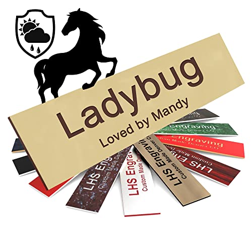 Personalized Horse Stall Name Plates, 2x6 Horse Stall Signs with Adhesive, All Weather UV Protected, Ivory Plastic with Brown Letters - Made in USA - B5 - color: B5 - Ivory/Brown, size: 2in x 6in (5.1cm x 15.2cm)