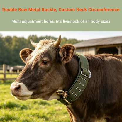 2 Pack 59 Inch Adjustable Cow Collar, Heavy-Duty 4-Layer Thickened Nylon Collar with 2-Row Metal Buckle for Cattle, Cow, Sheep, Goat, Horse, Camel, and Large Dogs, Farm Animal Neck Strap
