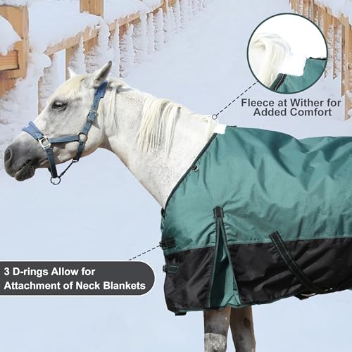 1200D Horse Blanket, 200g Medium Weight Waterproof Winter Turnout - color: Green Black, size: 69"
