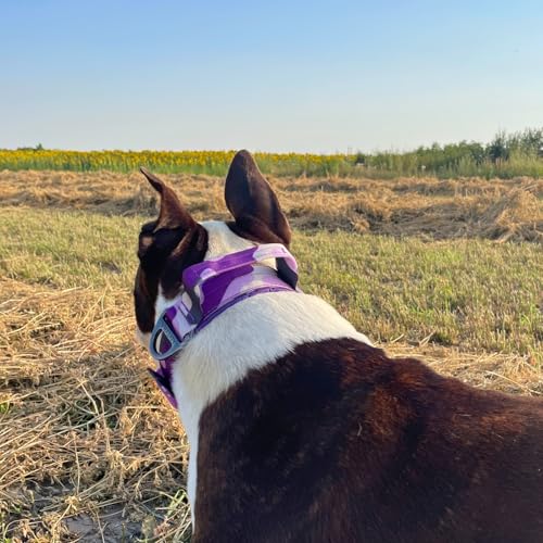 ADITYNA Heavy Duty Purple Dog Collar for Medium Dogs with Traffic Handle - color: Camo Purple, size: Medium: Fit 15-19" Neck
