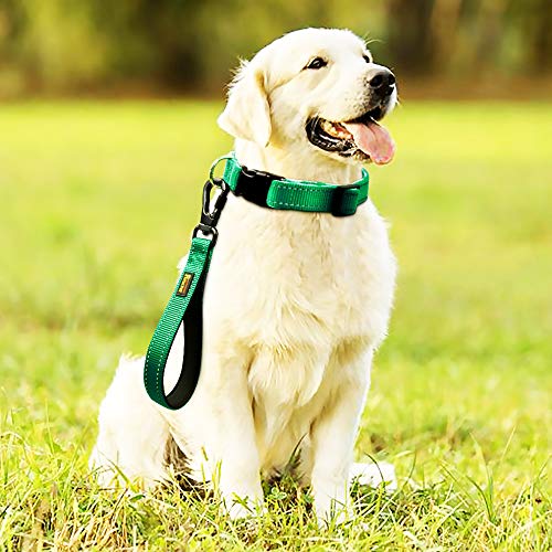 PLUTUS PET 10” Short Dog Leash, Reflective Nylon Padded Handle, Strong Traffic Leash with Carabiner Clip, Perfect for Large or Medium Dogs（10”，Green | Reflective, Heavy Duty Strong Nylon, Traffic Leash with Carabiner Clip for Training Walking (10", Green)
