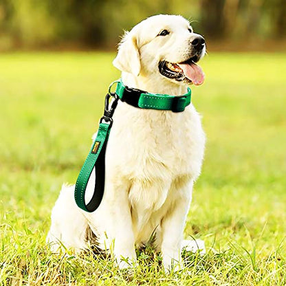 PLUTUS PET 10” Short Dog Leash, Reflective Nylon Padded Handle, Strong Traffic Leash with Carabiner Clip, Perfect for Large or Medium Dogs（10”，Green | Reflective, Heavy Duty Strong Nylon, Traffic Leash with Carabiner Clip for Training Walking (10", Green)