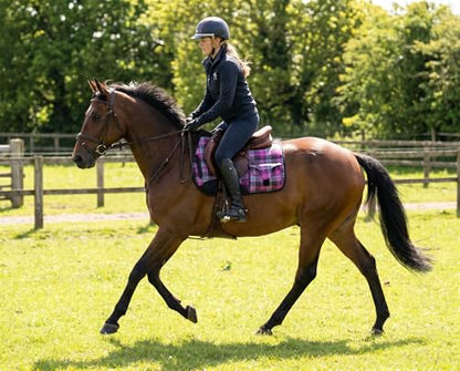 Horse English All-Purpose Neoprene Shock Absorbing Plaid Saddle Pad 72TS29 - color: Pink Plaid