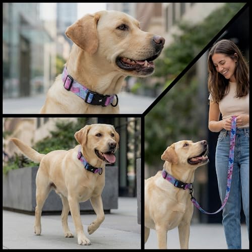 Tuff Pupper Premium Adjustable Dog Collar for Small Boy & Girl Dogs, Stylish Pattern Collars Designed in USA, Quick Release Buckle, PurpleHaze Print, Small (0.7 Inch Wide x 8-12 Inch Neck) - color: PurpleHaze, size: Small