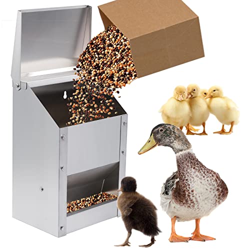 Wall Mounted Chicken Feeder Hanging Automatic Poultry Feeder with Lid Weatherproof Galvanized Steel Poultry Feeders Trough(10LB Capacity)