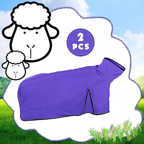 Silkfly 2 Pcs Sheep Blanket Mesh Medium Goat Blanket with Mesh Butt and Adjustable Belly Strap Fits Lambs 110-140 Lbs for Show Lambs, Offers Effective Protection from Fly Bites (Purple) - color: Purple