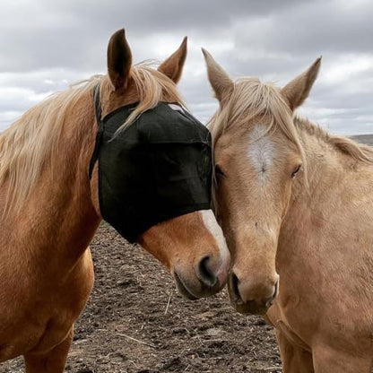 EquiVizor 95% UV Eye Protection (COB) Standard Horse Fly Mask - Help with Uveitis, Corneal Ulcer, Light Sensitivity. Designed to Stay On Your Horse, Off The Ground. - size: COB