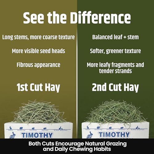 High Desert 2nd Cutting Timothy Hay for Rabbits, Guinea Pigs, 16 lb | Soft Leafy Texture With Balanced Fiber, Supports Healthy Digestion, Great For Chinchillas, Hand Packed in the USA, Low Dust - size: 16 Pound (Pack of 1)