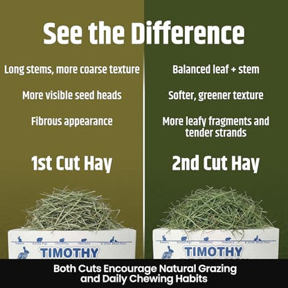 High Desert 2nd Cutting Timothy Hay for Rabbits, Guinea Pigs, 16 lb | Soft Leafy Texture With Balanced Fiber, Supports Healthy Digestion, Great For Chinchillas, Hand Packed in the USA, Low Dust - size: 16 Pound (Pack of 1)