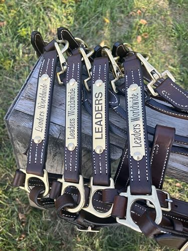 Leaders Leather Halter for Horses with Customized Engraved Name Plate Option Halter for Horse - size: Horse Size