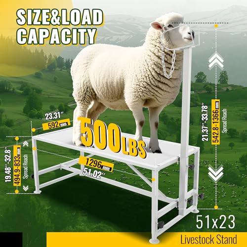 HECASA 51"x23" Sheep Livestock Trimming Stand Shearing Milking Stand