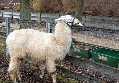 Large Feed Trough and Goat Feeder - 2 Pack Hanging Feeder with Clips, Waterer Bucket, Fence Feed Trough, Goat Supplies, 10 Quart - color: Cyan