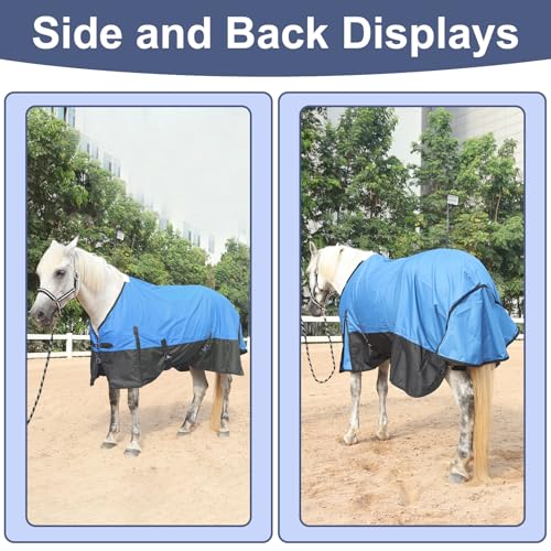 600D Horse Blanket, 0g No-Fill Waterproof Turnout Rain Sheet - color: Royal Blue/Black, size: 75"