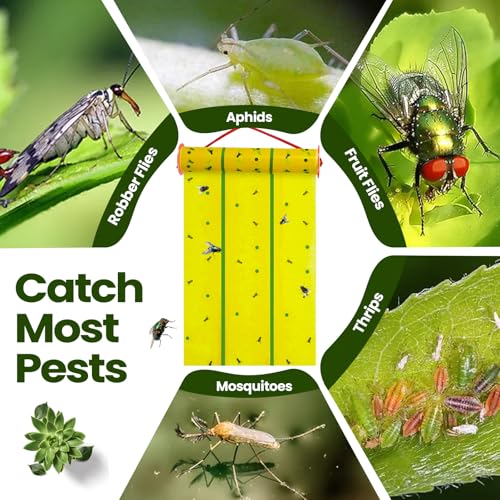 Qualirey 5 Pcs Giant Flypaper Fly Traps, 295ft Sticky Yellow - color: Yellow and Green