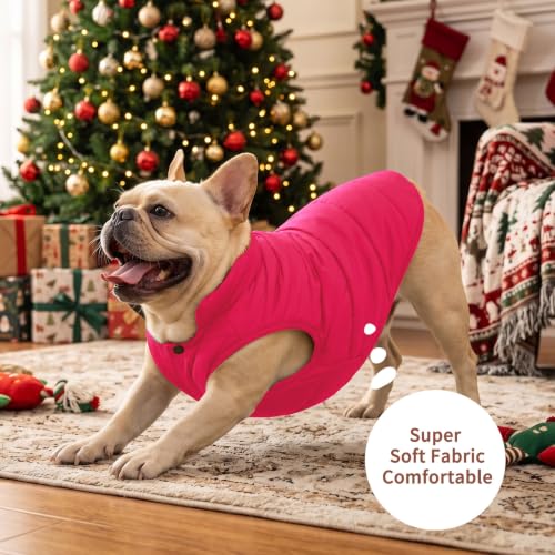 JoyDaog Fleece Lined Dog Jacket for Small Dogs,Winter Dog Coat,Pink M - color: Pink, size: Medium