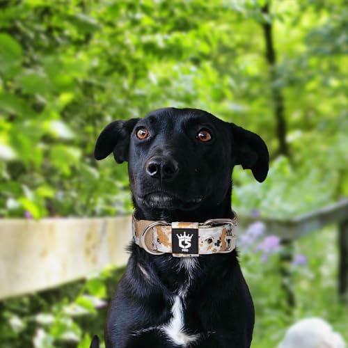 TSPRO Heavy Duty Thick Dog Collar with Metal Buckle for Small Dogs - color: Camo Khaki, size: S – Fits Neck 12.6"-15.8"