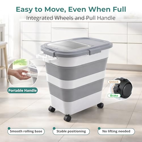 Collapsible Rice Storage Container 25–35 lbs, Airtight, Space-Saving Food Storage Bin with Wheels and Measuring Cup, Easy-Pour Grain Dispenser for Rice, Flour and Pet Food
