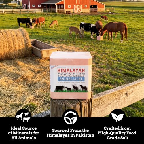Himalayan Secrets Compressed Salt Lick for Livestock & Wildlife, 22 lb - size: 22 Pound (Pack of 1)