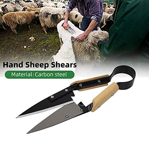 Single Bow Sheep Shears, Heavy Duty 6.1-Inch Carbon Steel Blade, 12.5-Inch Long Hand Shears for Sheep, Alpaca, Goat, Rabbit, Horse & Dog, Farm Grooming Scissors (Black) - color: Black