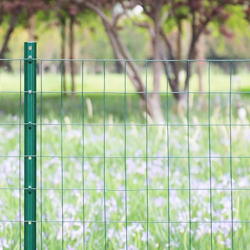 Green PVC Coated Welded Wire Fence 36" x 25' Roll, 2"x3" Mesh, 16 Gauge - color: Green, size: 2''x3'' 16GA 36''x25'