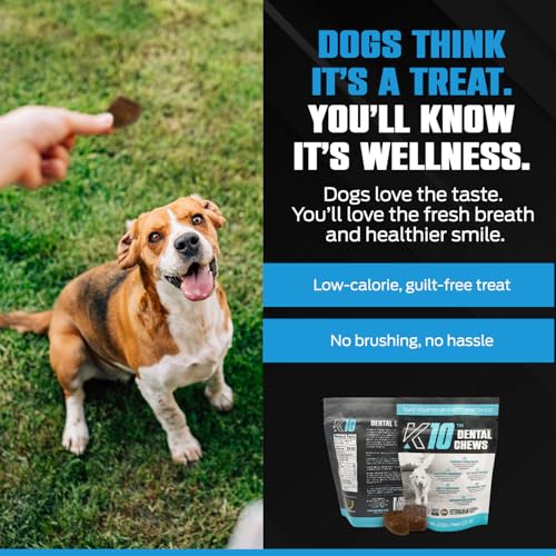 K10 Dental Chews for Dogs, Human-Grade Dog Dental Cleaning Chews, 10 Count - style: Dental Chews 10 Count