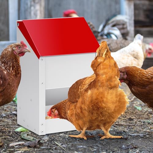 Automatic Chicken Feeder 10lb Hanging Feeder Trough with Scoop | Wall Mounted Poultry Feeder Trough, Galvanized Metal Gravity Chicken Feeder, for Chickens Ducks Goose Poultry