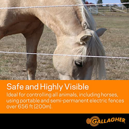 Gallagher 3/16" Electric Fence Rope for Horses | Heavy Duty Braided Electric Horse Fence | High Conductivity Turbo Braid | 656ft Roll for Portable & Semi Permanent Fencing