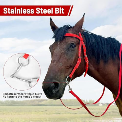 Draft Horse Bridle Anti-Tear Horse Riding Headstall | Equine Snaffle Noseband, Adjustable Soft Lined Equestrian Browband for Outdoor Use - size: Small