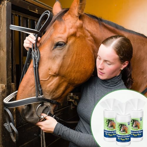 Threlaco 3 Pack Horse Bit Wipes 120 Pcs Peppermint Horse Bit Cleaners for Happy Horse Disposable Cleaning Wipes for English or Western Bits - style: Peppermint