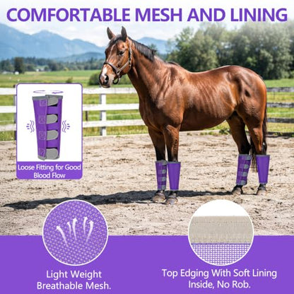 Fly Boots for Horses Set of 4 with Reflective Vercros, Loose Fitting Mesh Horse Fly Boots Leggings, Adjustable Equine Leg Wraps & Socks, Stay Up Not Sag, No Rub - color: Purple