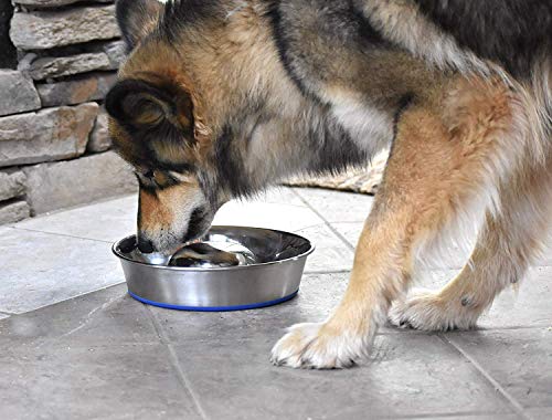 OurPets DuraPet Slow Feed Premium Stainless Steel Bowl (Heavyweight Durable Stainless Steel Bowls, Dog Food Bowl, and Dog Water Bowl) Great Alternative to Snuffle Mat for Dogs-Medium - size: Medium (4.5 Cups)