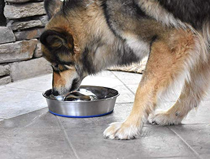 OurPets DuraPet Slow Feed Premium Stainless Steel Bowl (Heavyweight Durable Stainless Steel Bowls, Dog Food Bowl, and Dog Water Bowl) Great Alternative to Snuffle Mat for Dogs-Medium - size: Medium (4.5 Cups)