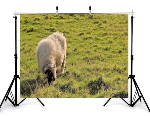 5x3ft Fabric Fluffy Wool Sheep Backdrop Rolling Green Grassland Pasture Farm Wildlife Photography Background Tapestry Country Farm Animal Decorations Banner Photo Booth Props - size: 5x3ft