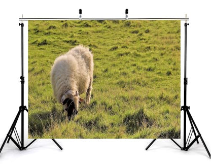 8x8ft Fabric Fluffy Wool Sheep Backdrop Rolling Green Grassland Pasture Farm Wildlife Photography Background Tapestry Country Farm Animal Decorations Banner Photo Booth Props - size: 8x8ft