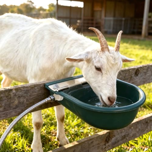 Automatic Water Bowl Livestock Waterer for Horse Cattle Goat Sheep Dog