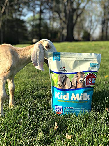 Manna Pro Goat Kid Milk Replacer with Opti-Gut, 4 lb Bag - size: 4 Pound (Pack of 1)