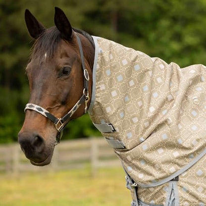 Equinavia Norse Turnout Neck Cover No Fill | 600 Denier - Slate Grey/Light Olive - S - color: Slate Grey/Light Olive, size: S