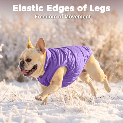 JoyDaog Fleece Lined Dog Jacket for Small Dogs,Winter Dog Coat,Purple S - color: Purple, size: Small