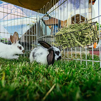 Therwen 4 Pcs Rabbit Hay Feeder Guinea Pig Heavy Duty Metal Frame Hay Rack with Hooks Cage Hanging Holder for Bunny Chinchilla Small Animals Accessories(9.1 x 3.9 x 3 Inches) - size: 9.1 x 3.9 x 3 Inches